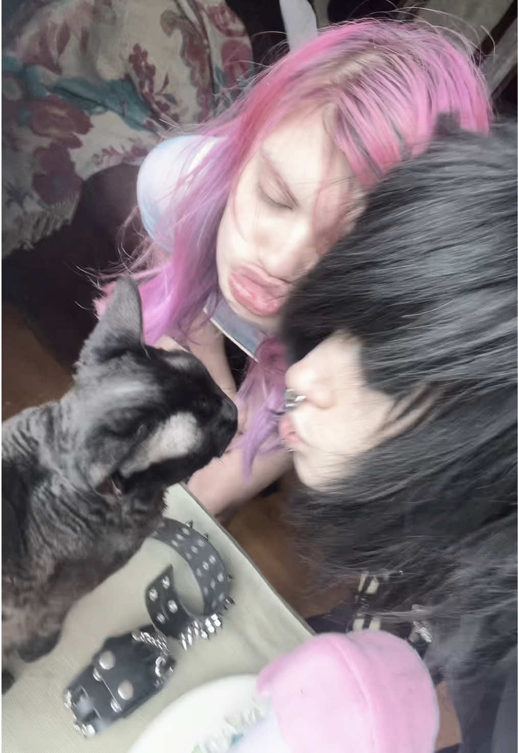@Xander ૮ ˙Ⱉ˙ ა