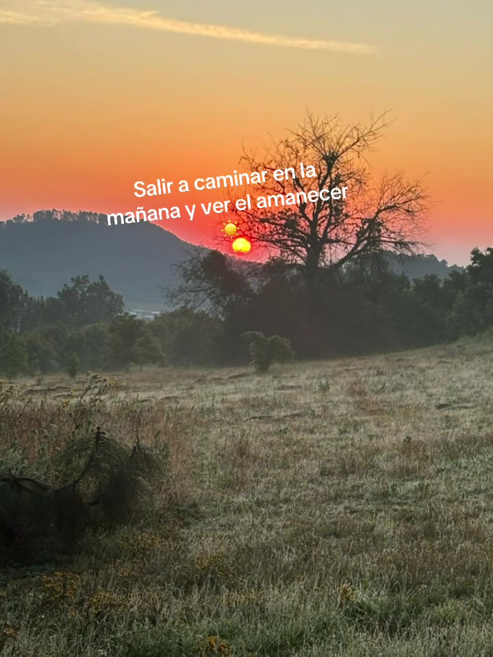 @Ana Luna