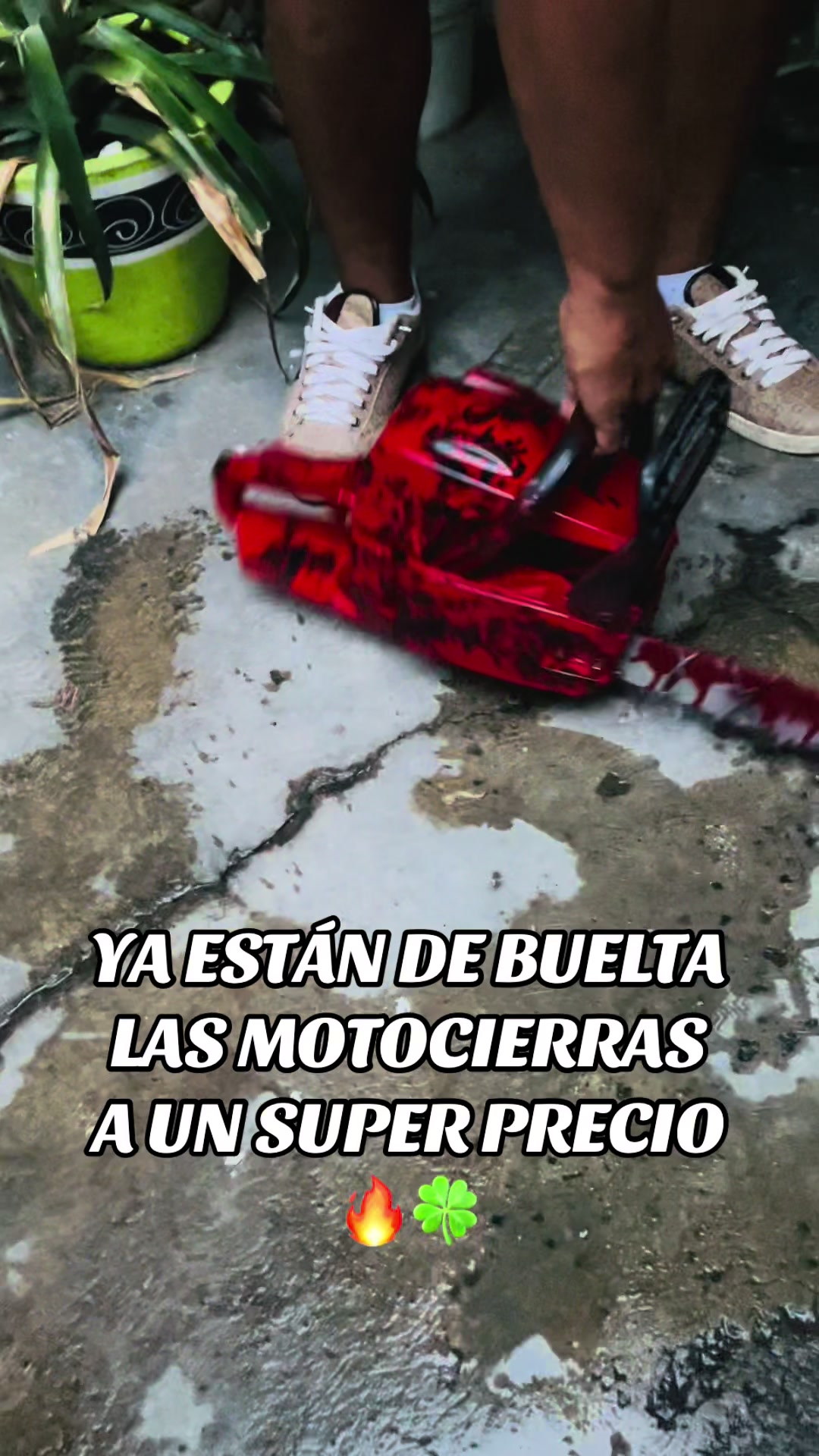 @disfraces_JuniorsMx