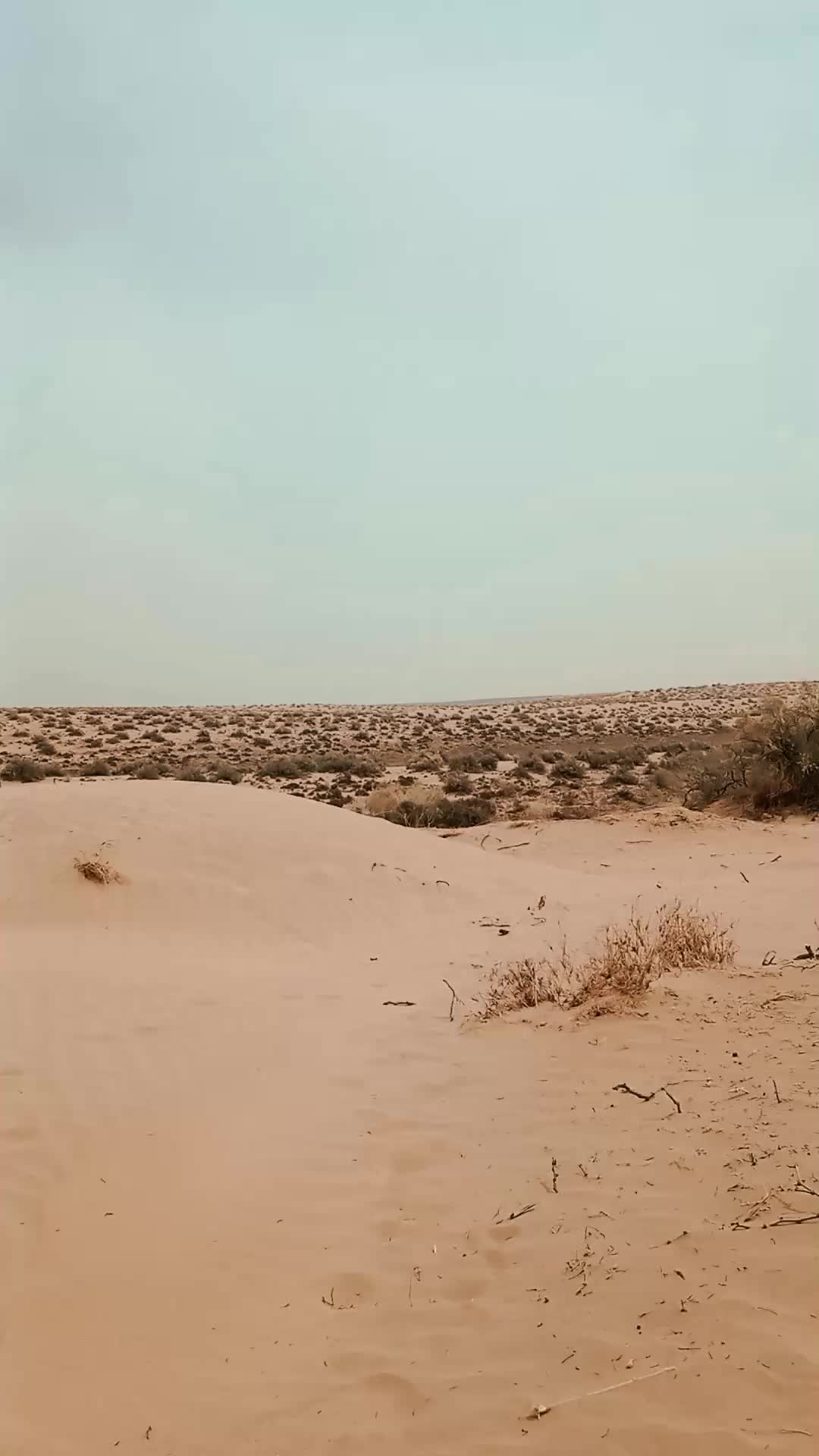 @Malik Rashid