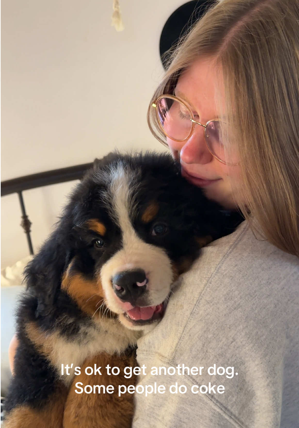 @Alpenspirit Bernese