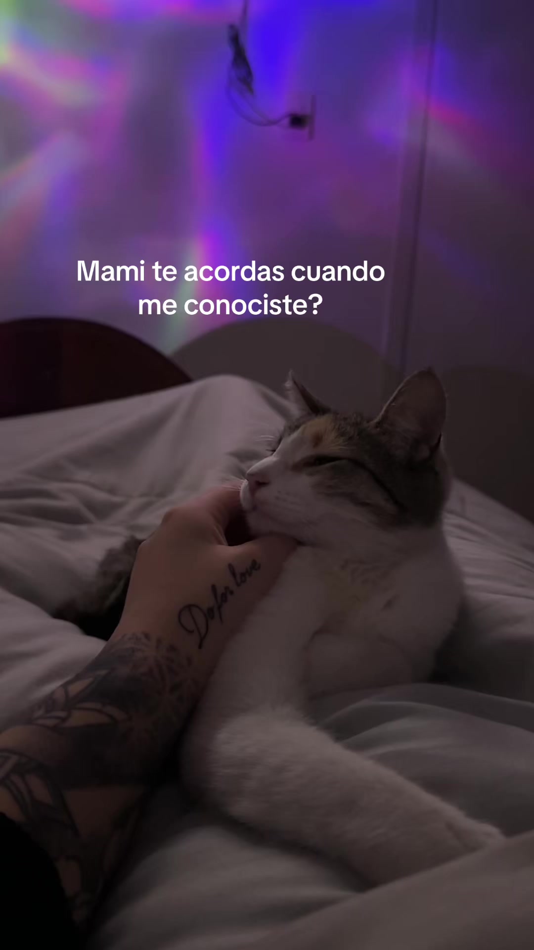 @morerodriguez 💋