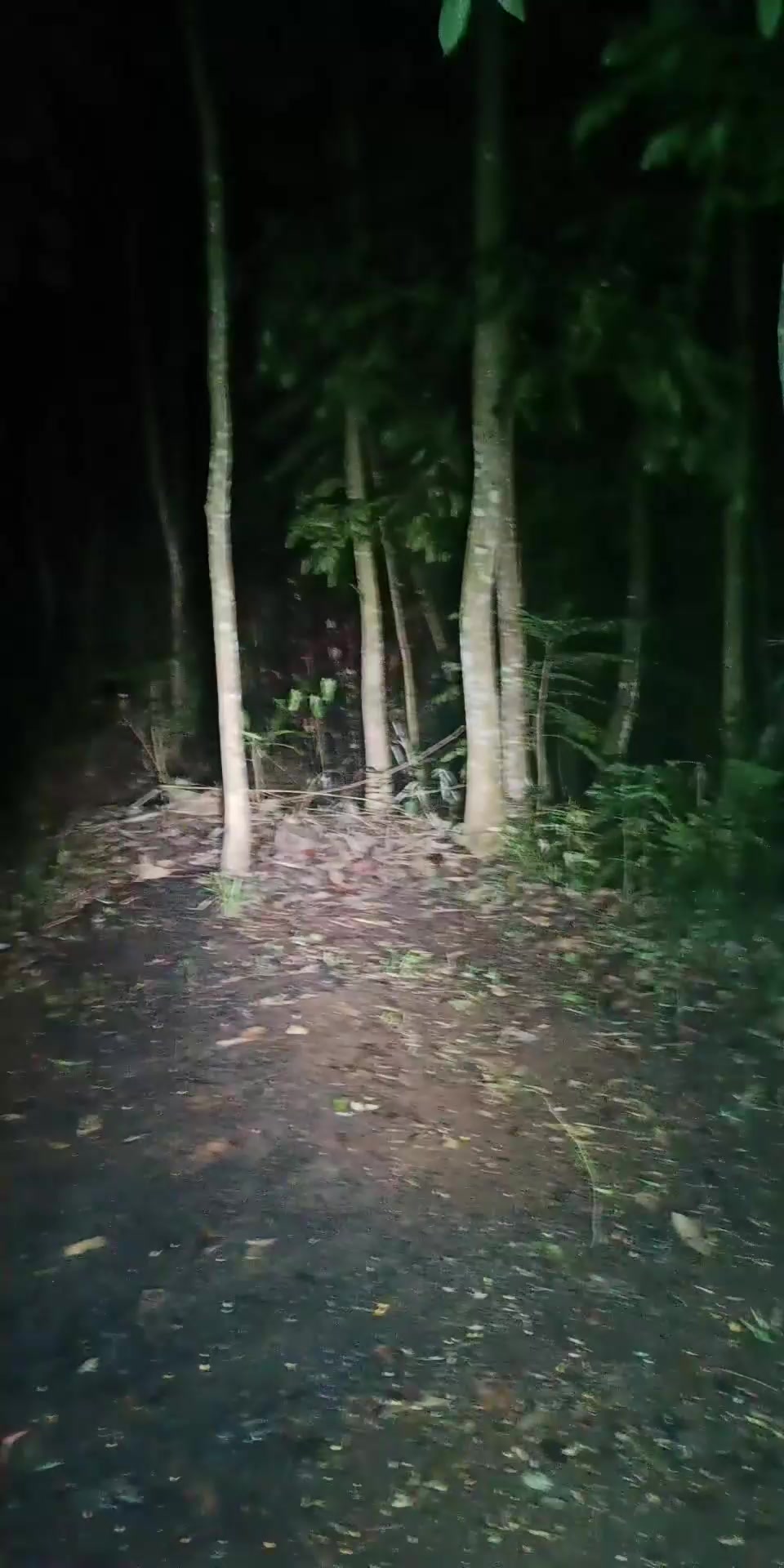 @𝐋𝐞𝐧𝐝𝐫𝐚 𝐖𝐢𝐣𝐚𝐲𝐚