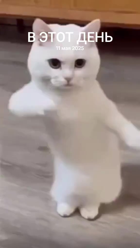 @魔法世界🌠