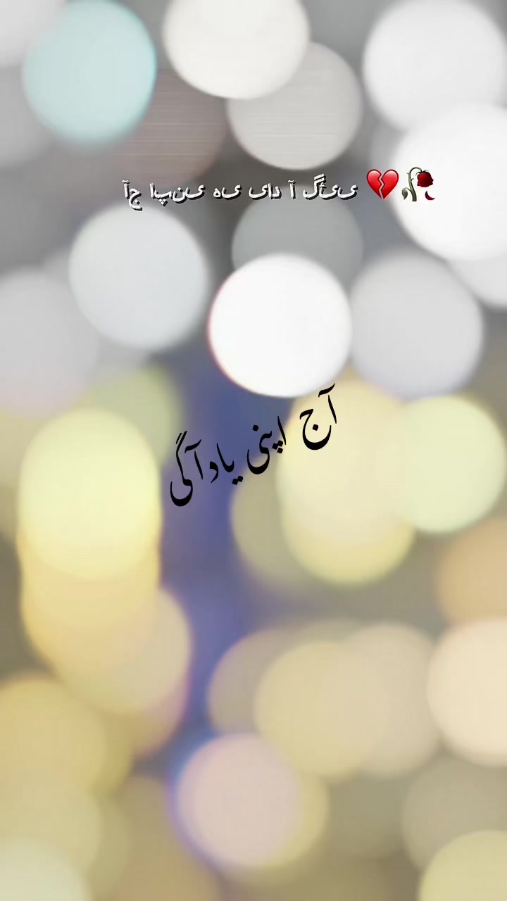 @علی حمزہ512