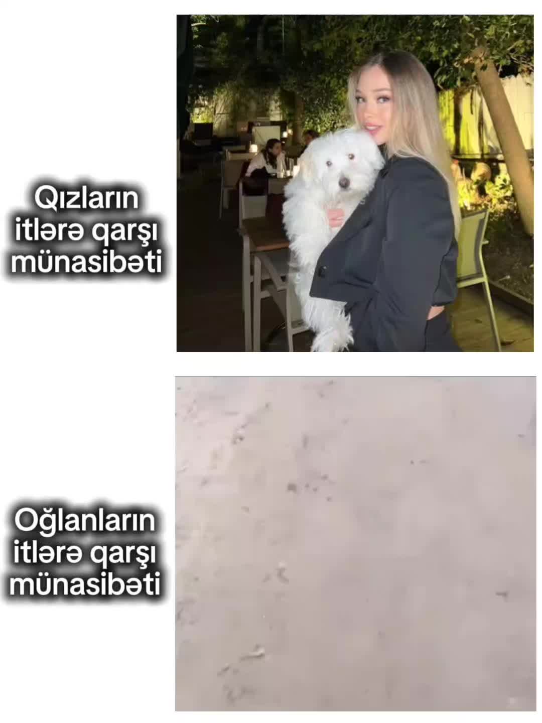 @𝙔𝙪𝙨𝙠𝙞シ︎