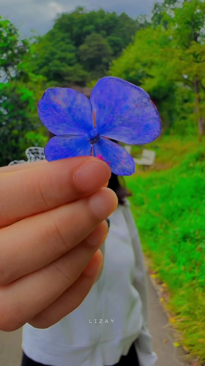 @🕉️