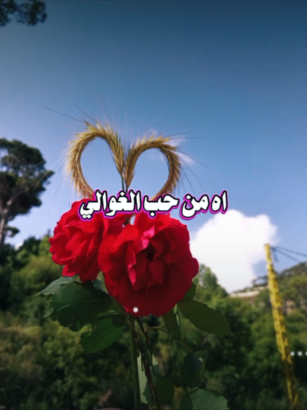 @lavendr81