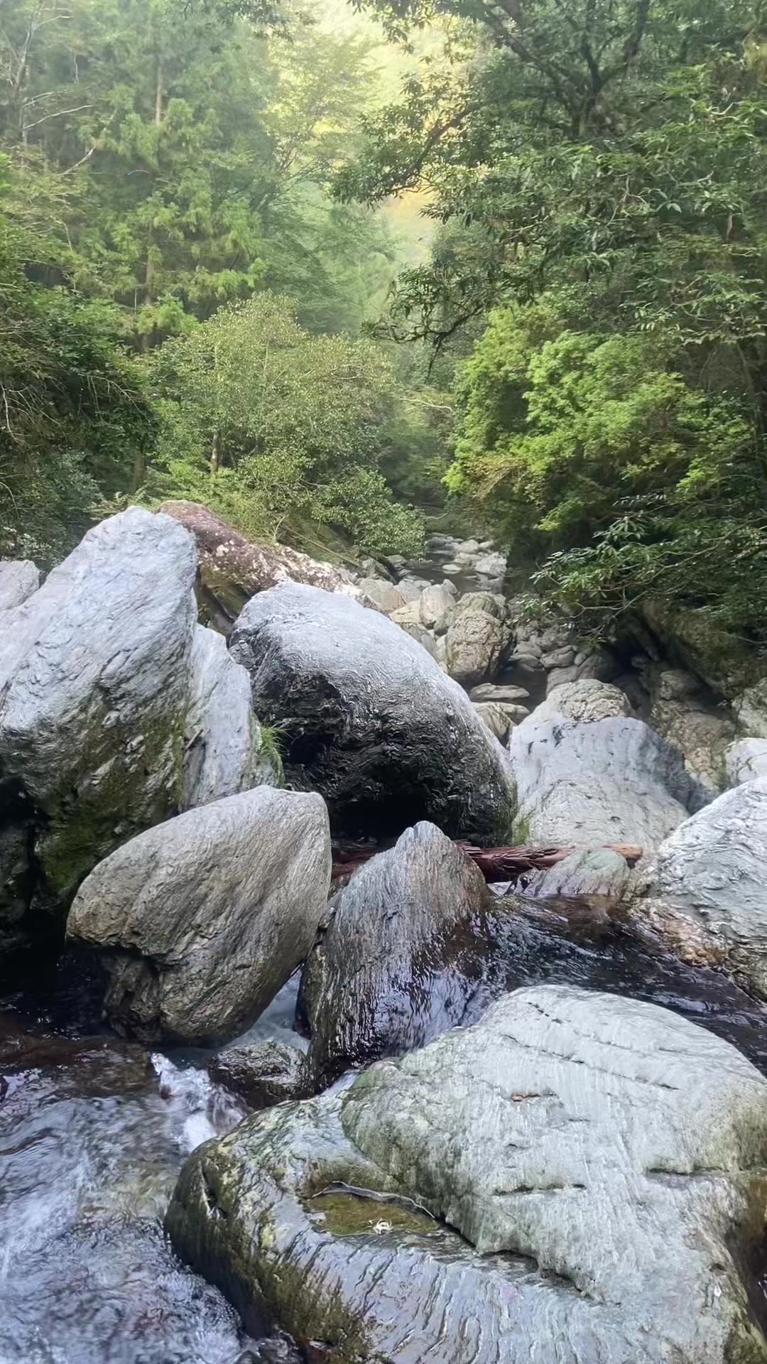 @モブ