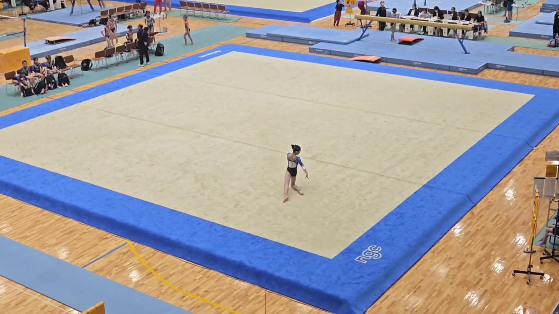 @ami_ gymnastics