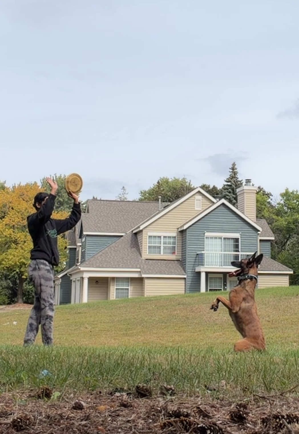 @dogstrainjen