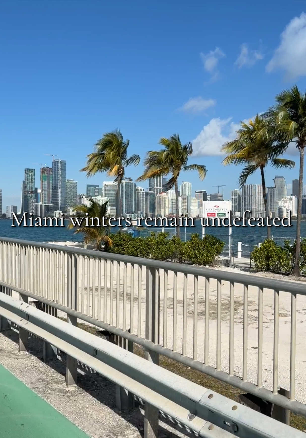 @Jose &bull; Miami Real Estate 🏝️