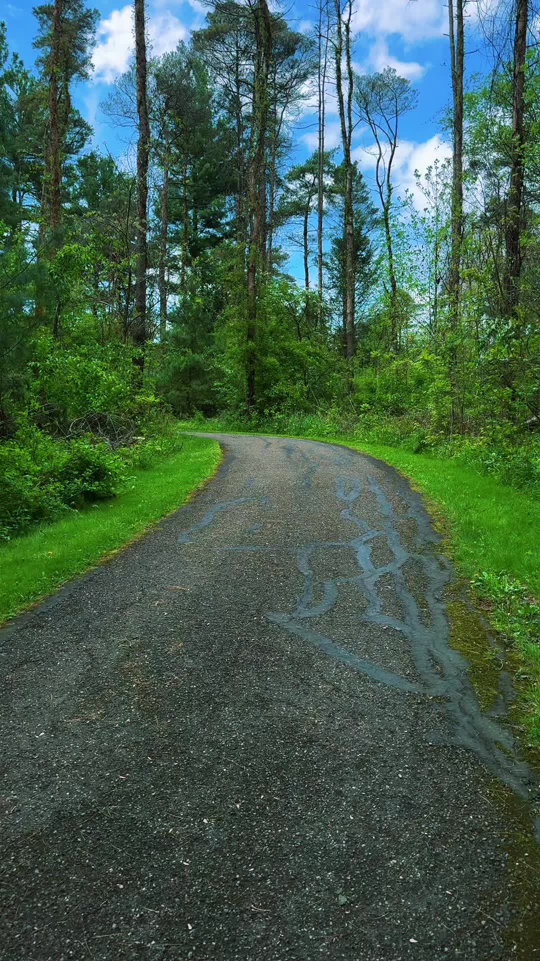 @alone4life444