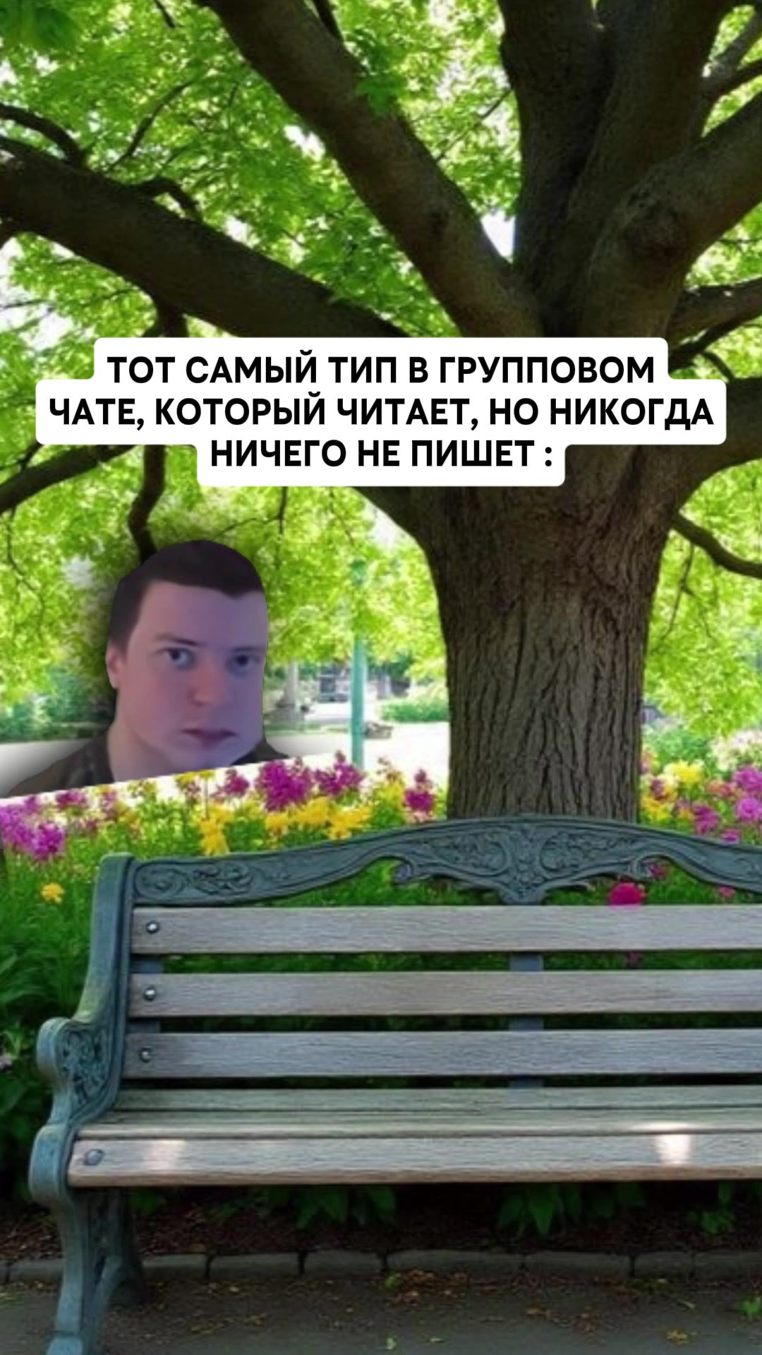 @MellFan