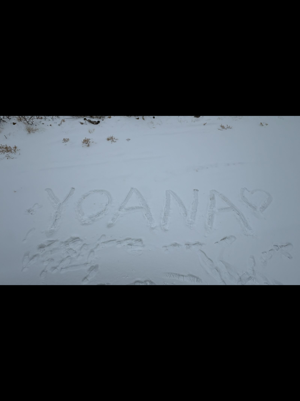 @yoana zermeño