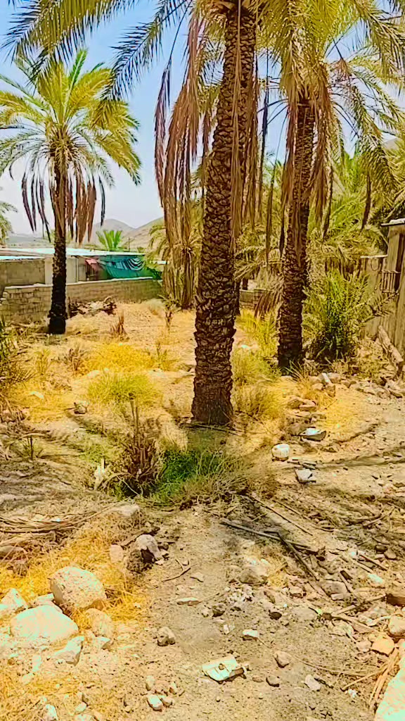 @زخمی