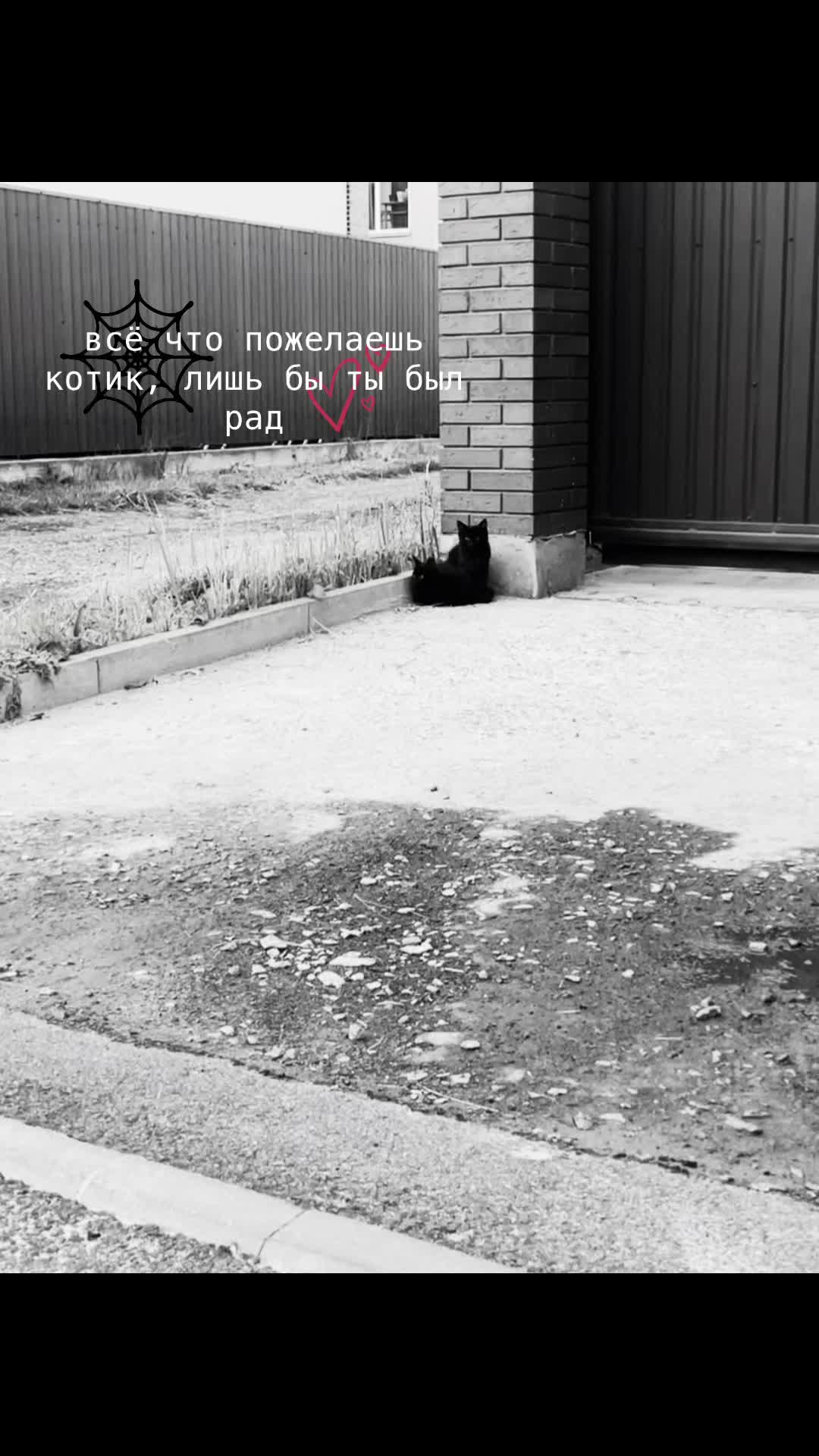 @Д𝑦𝑝ь🚬