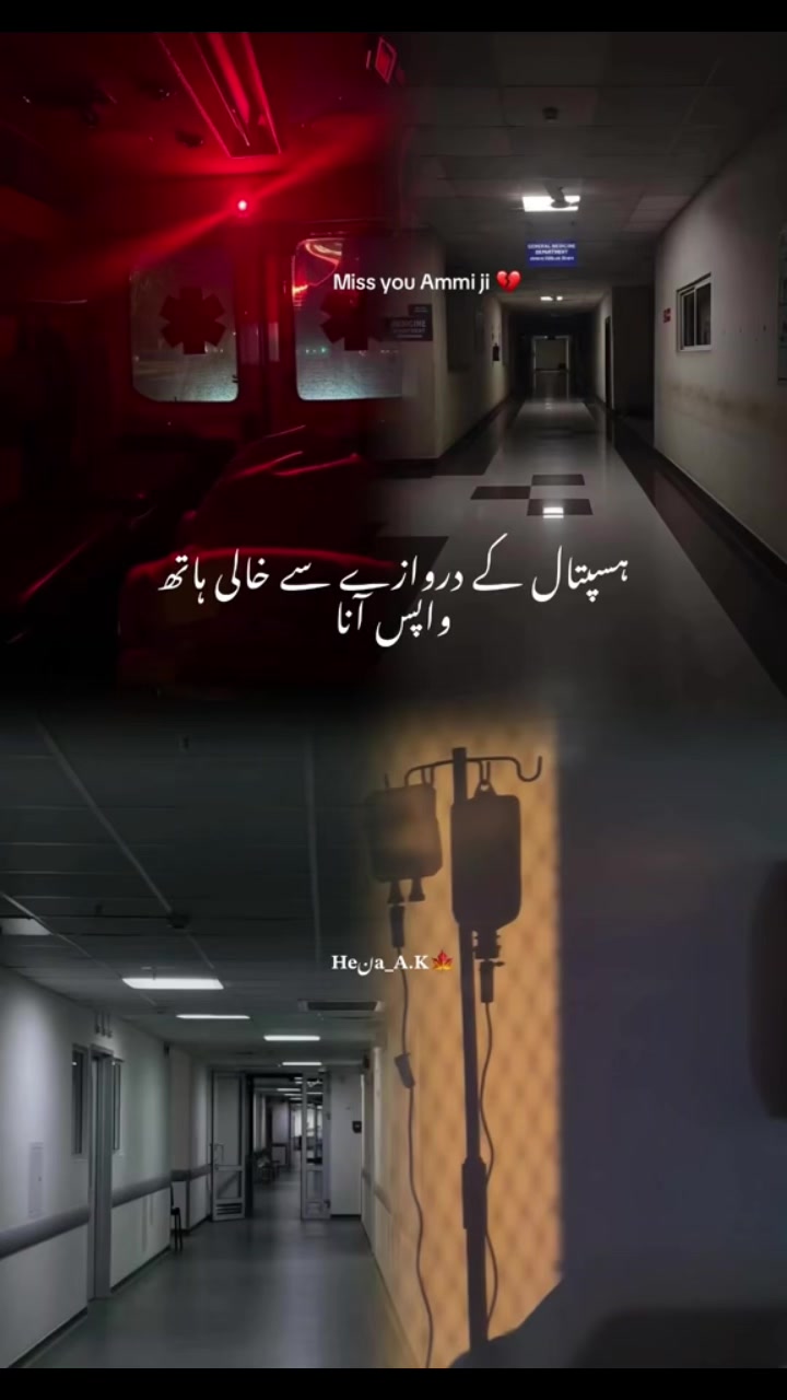 @zahraabbas47