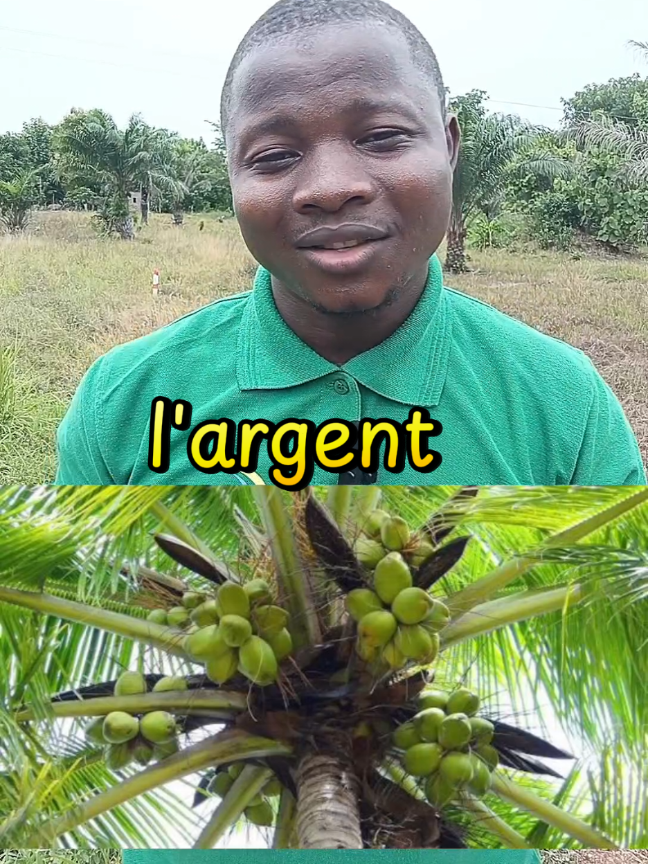 @l'entrepreneur Africain