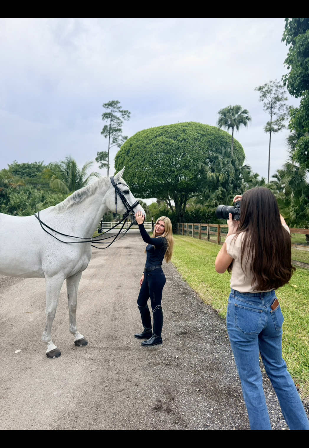 @LumiereEquestrian