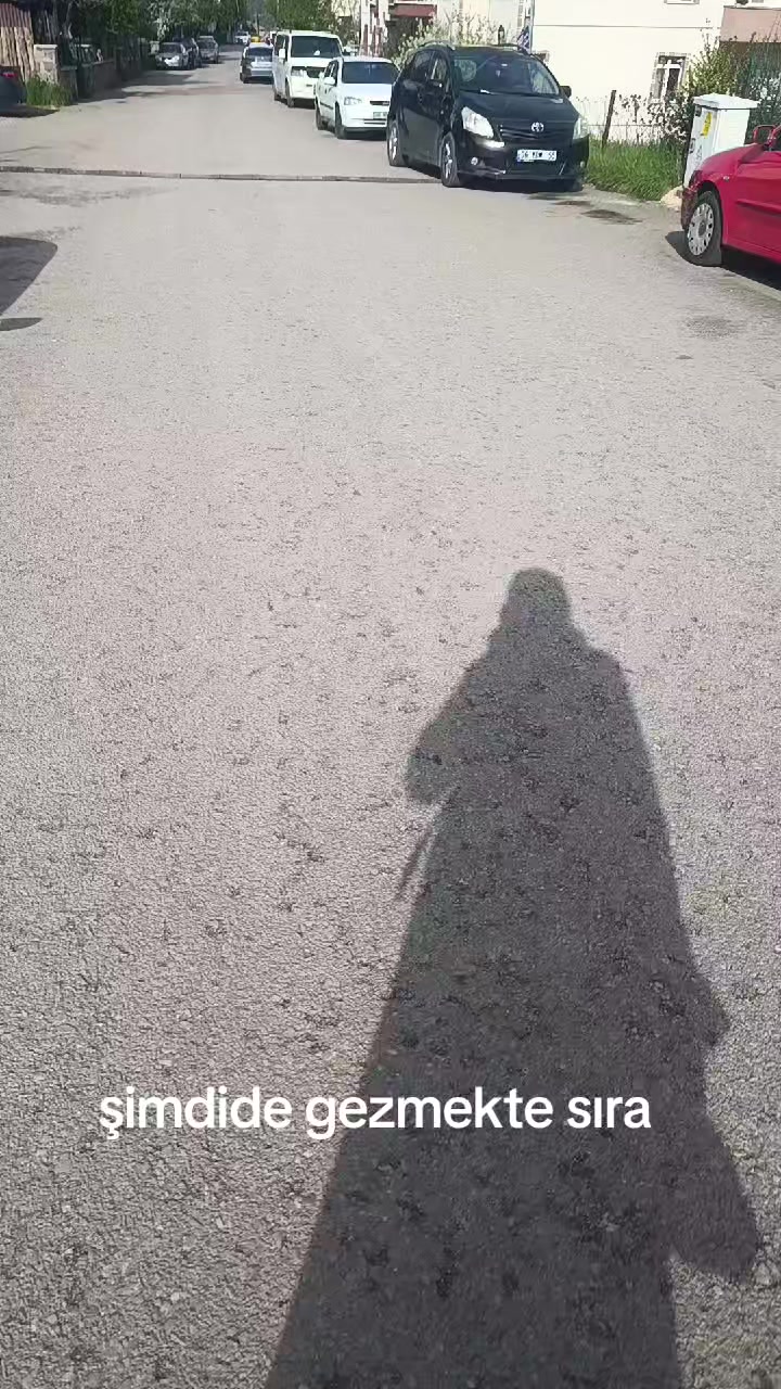 @zalimin kızı 06