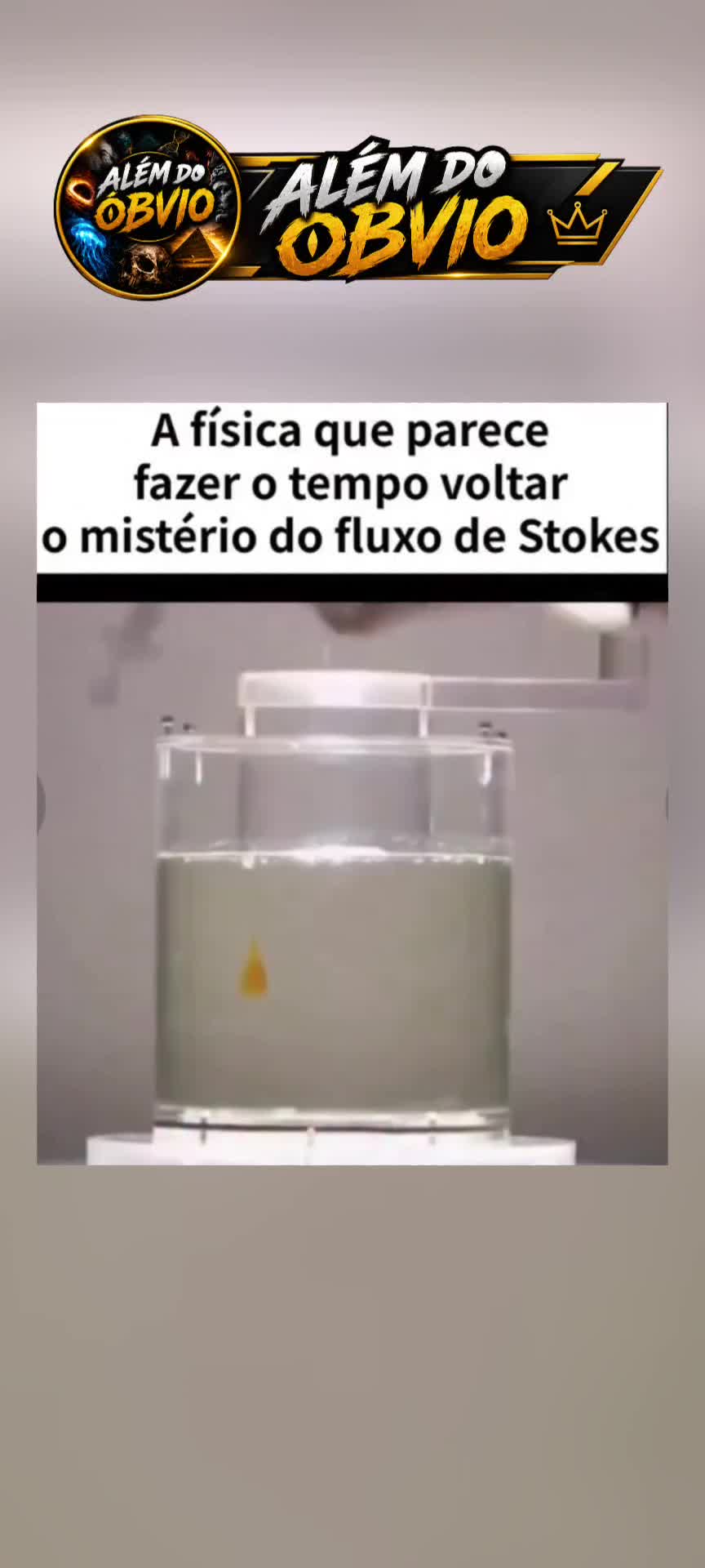 @AL&Eacute;M DO &Oacute;BVIO