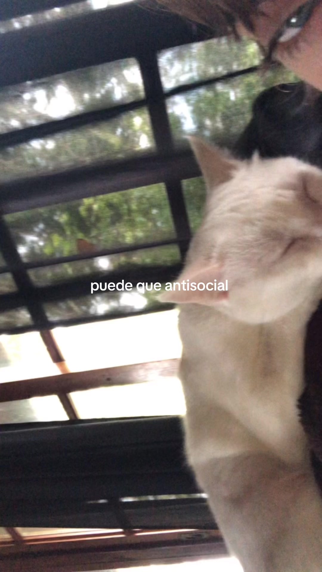 @moreenaromeo