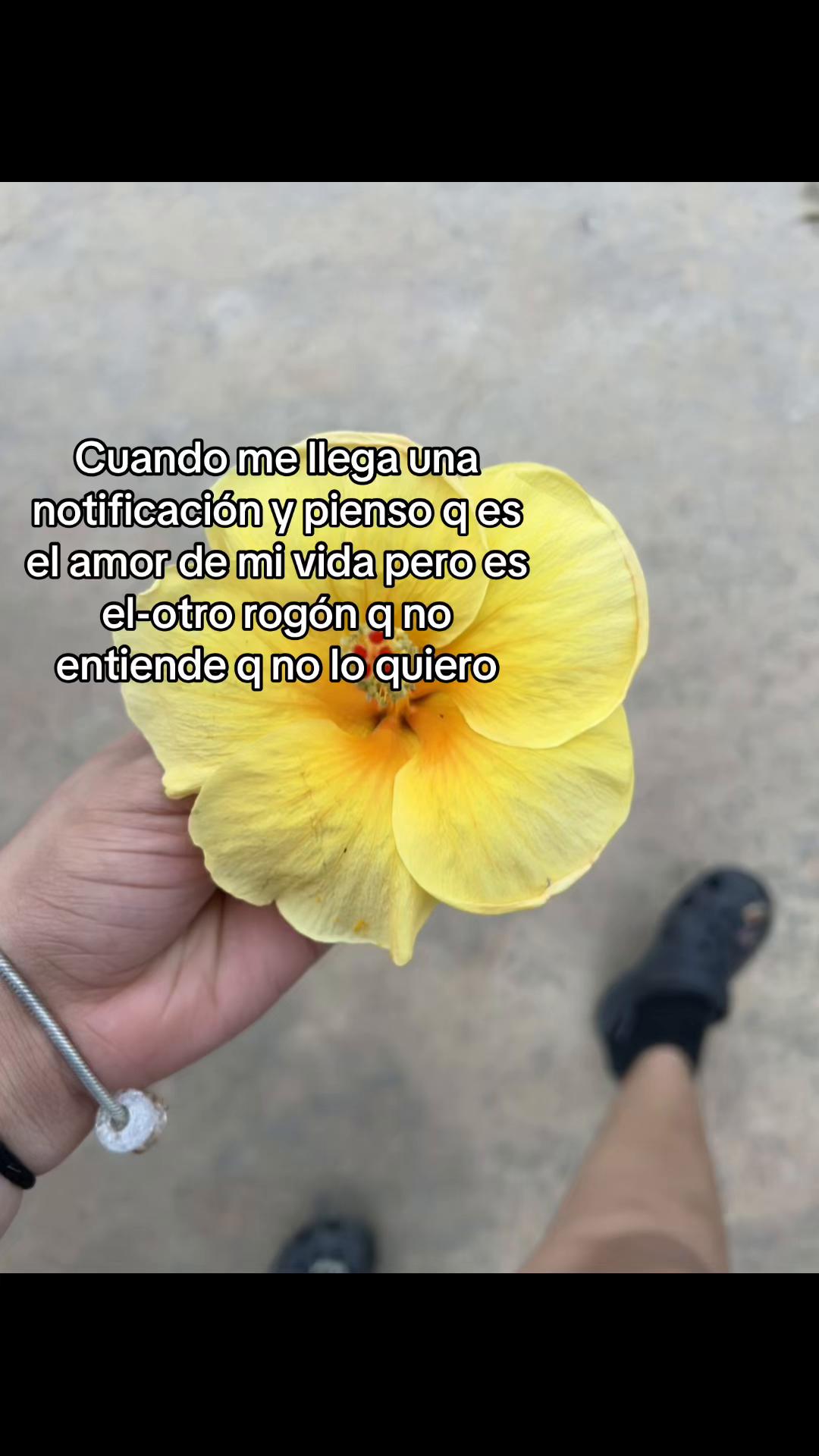 @ana_.fenix6
