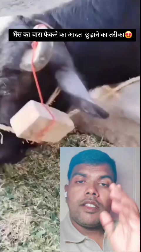 @user17446384362