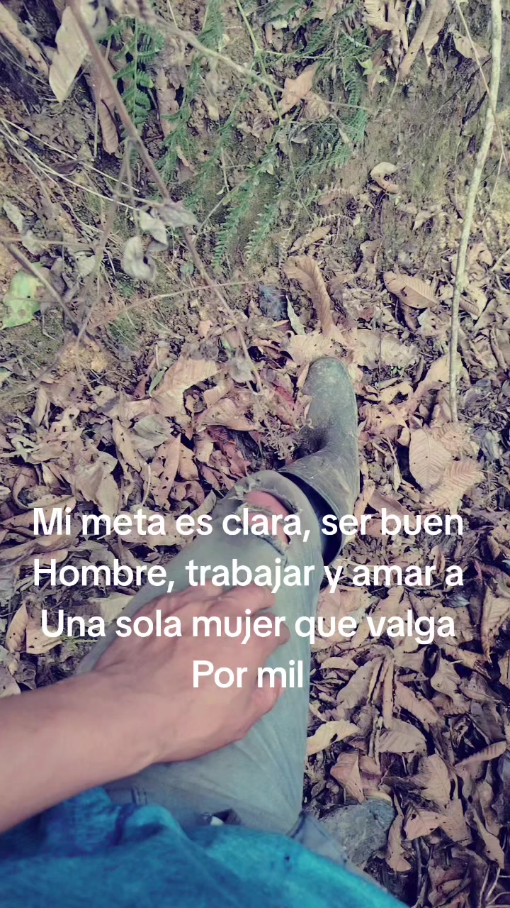 @yoi mv