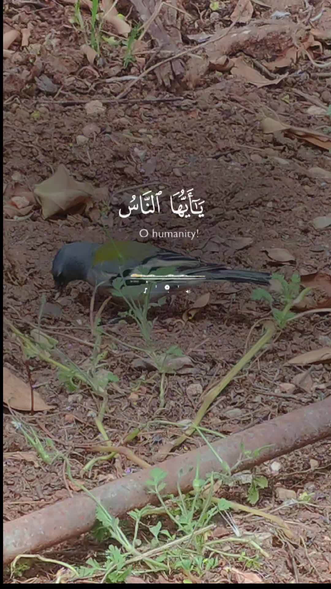 @WATCH AND ENJOY