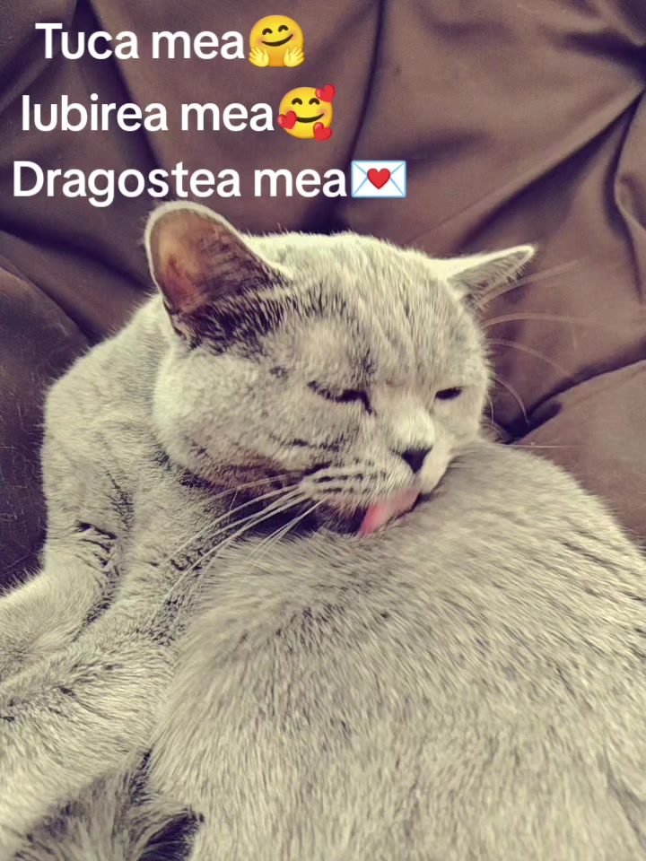 @°~🌷 DANY🌷 ~°