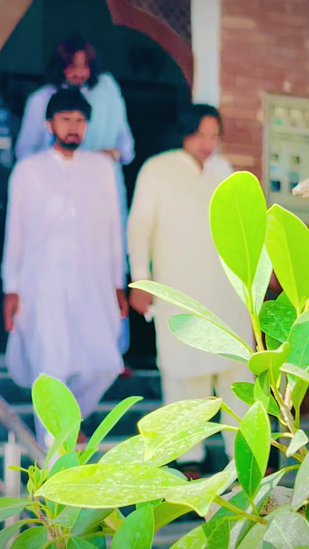 @🦋Riaz pirbakhel🦋