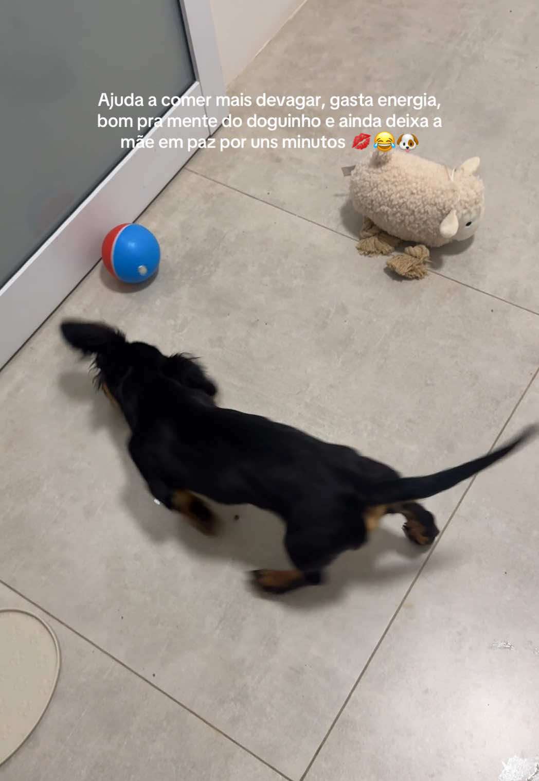 @Lorena Ramos