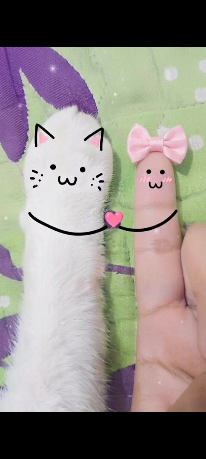 @Oyuki.A