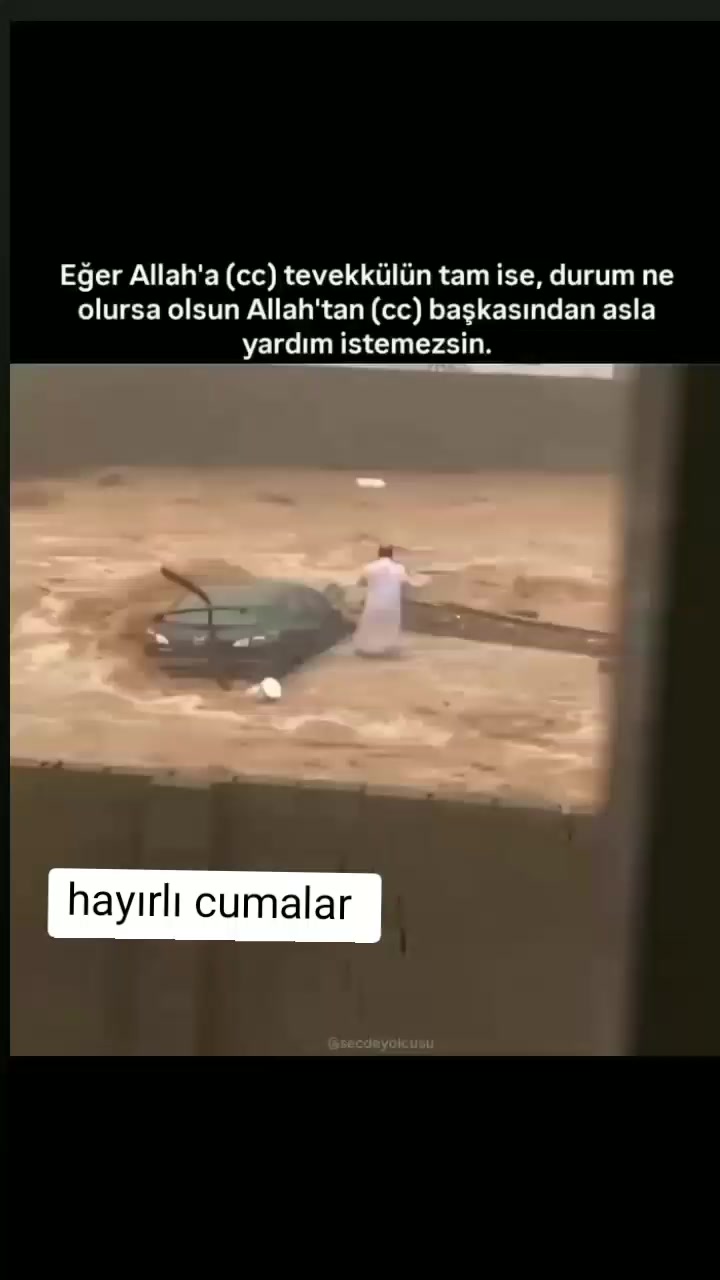 @EL_VEKİL☝🏻