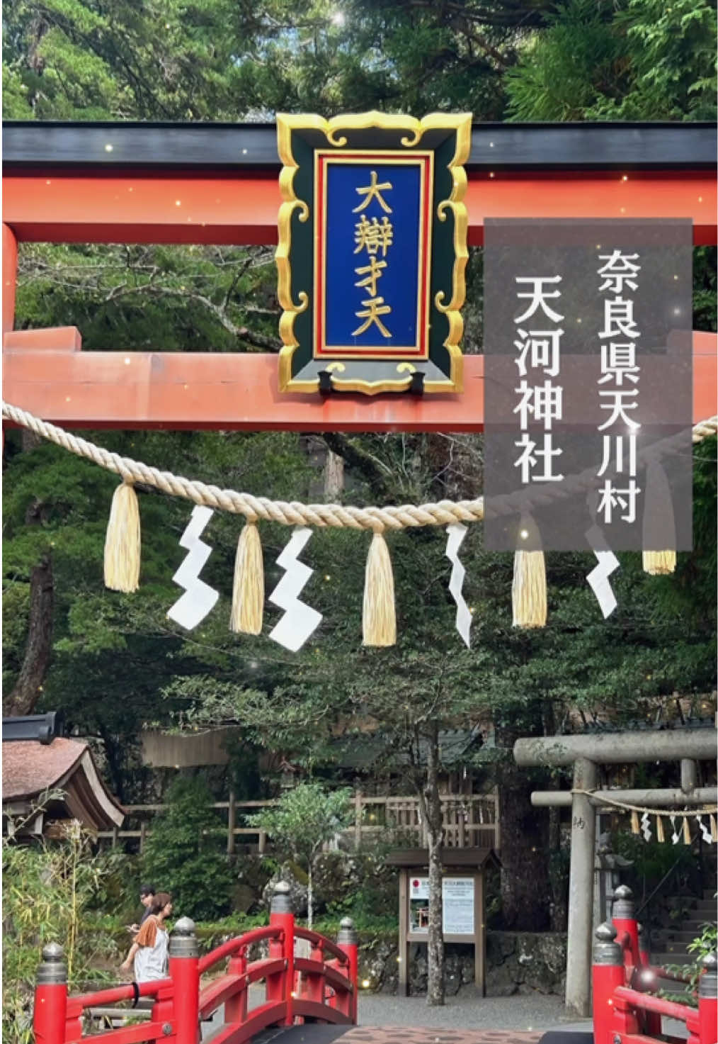 @hoshino_tarot