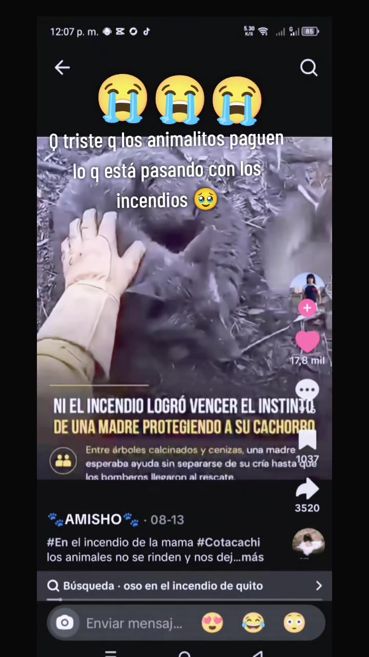 @༒🙏𝐑𝐨𝐜𝐢𝐨𝐭𝐮𝐟𝐥𝐚𝐪🙏༒