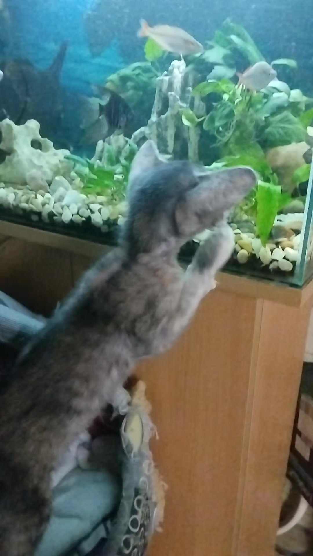 @Наталья
