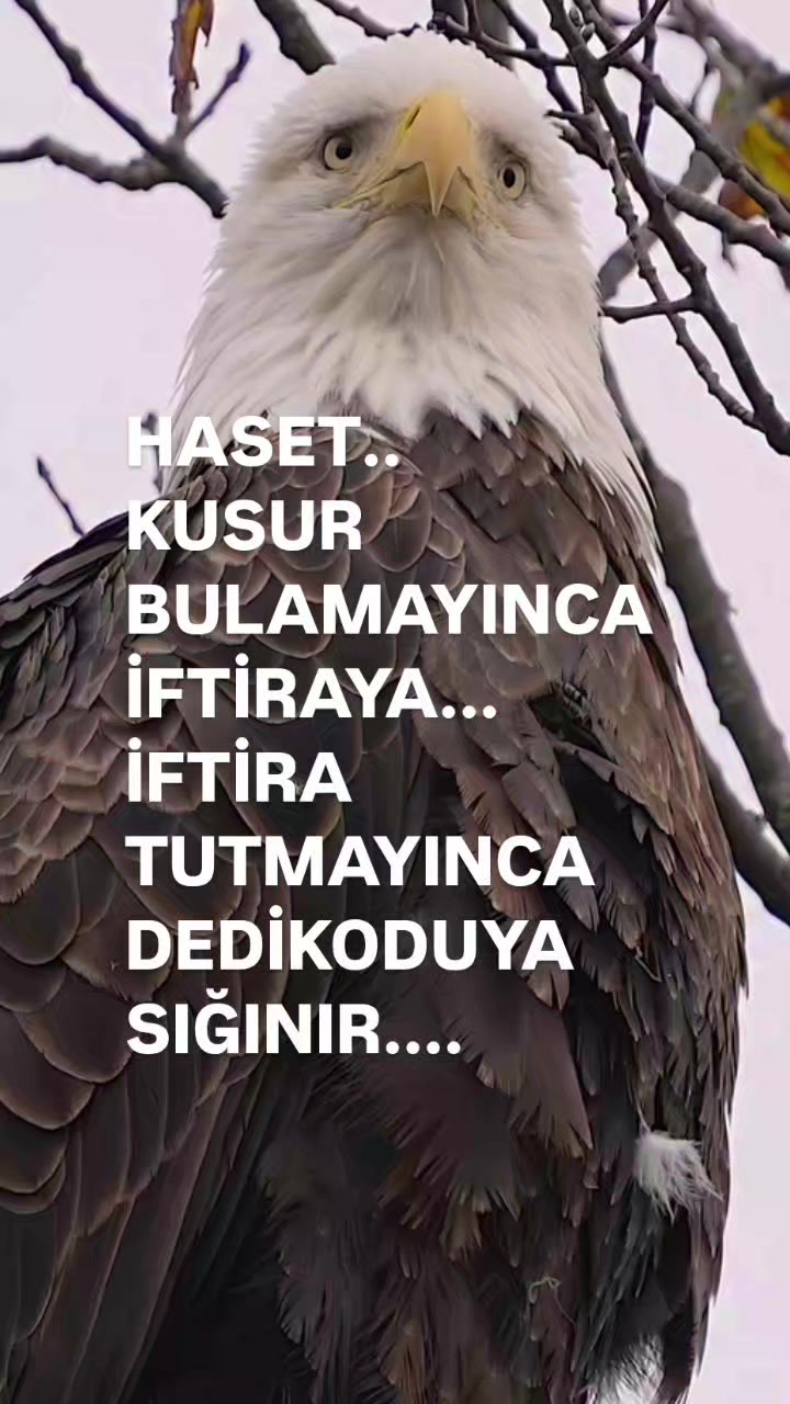 @__İREM__
