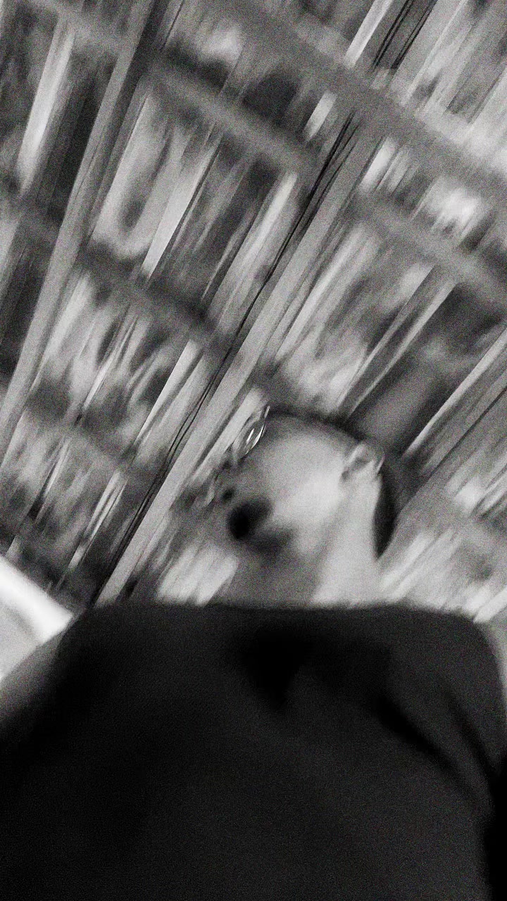 @Vneguin⚡