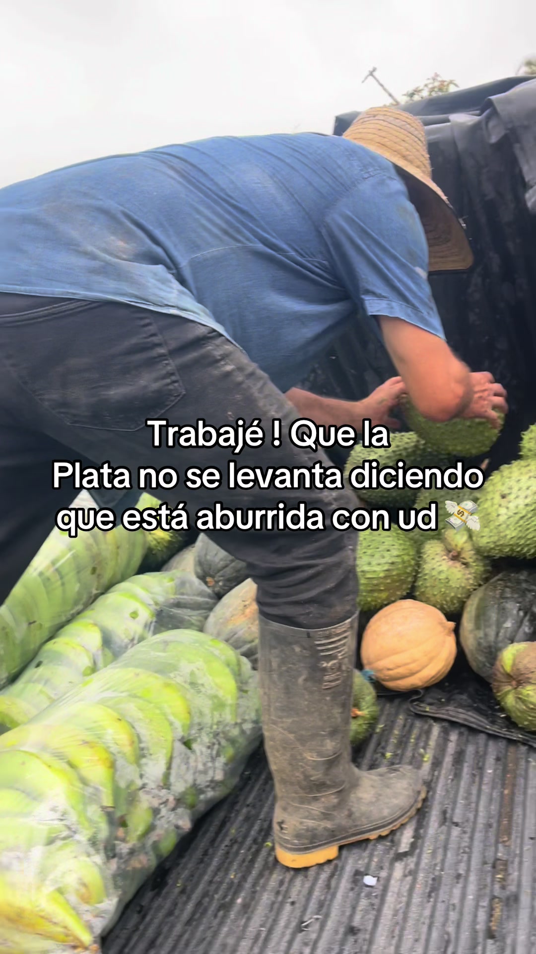 @Juan Rodríguez 🐄