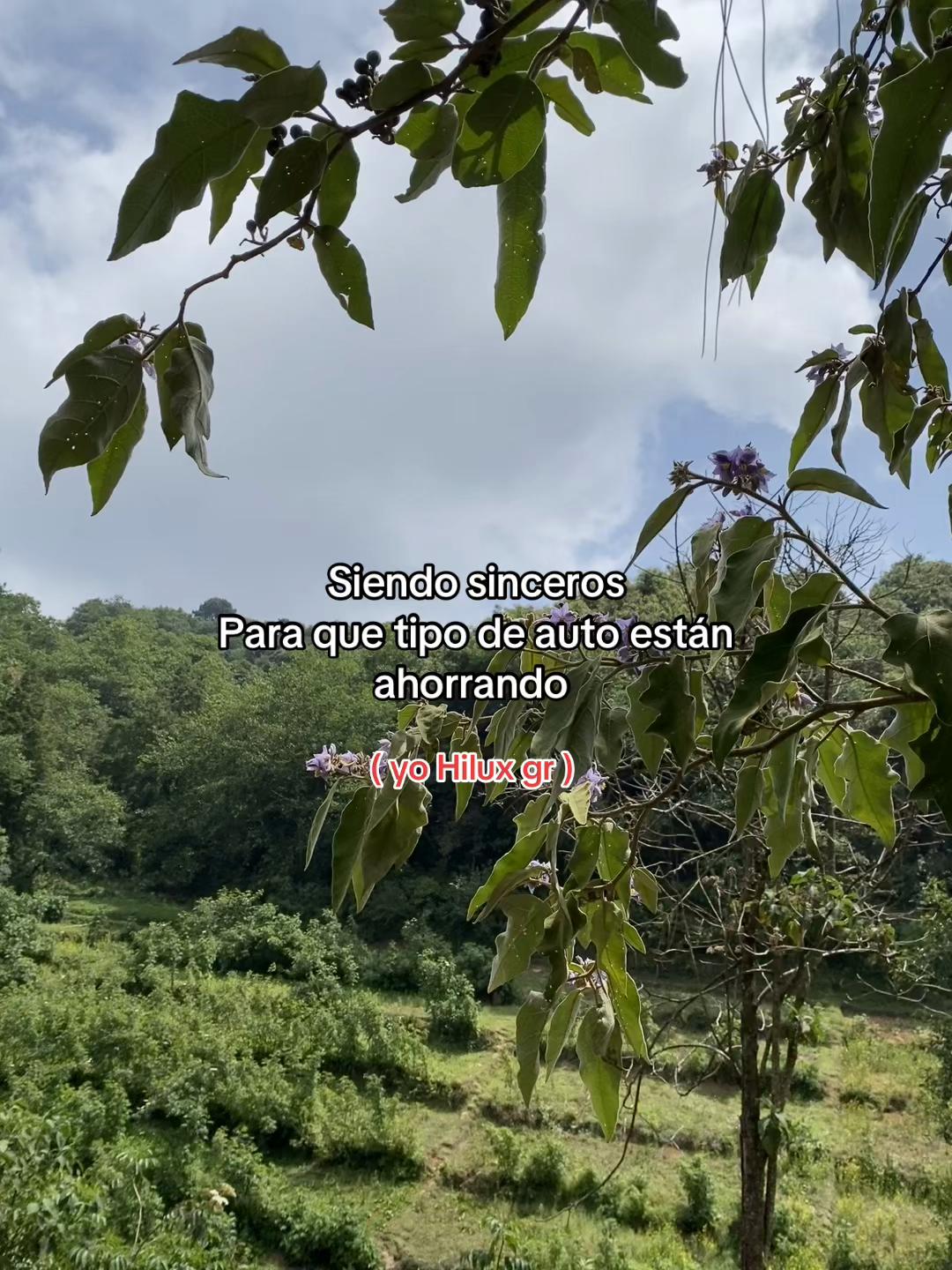 @Aangelito 