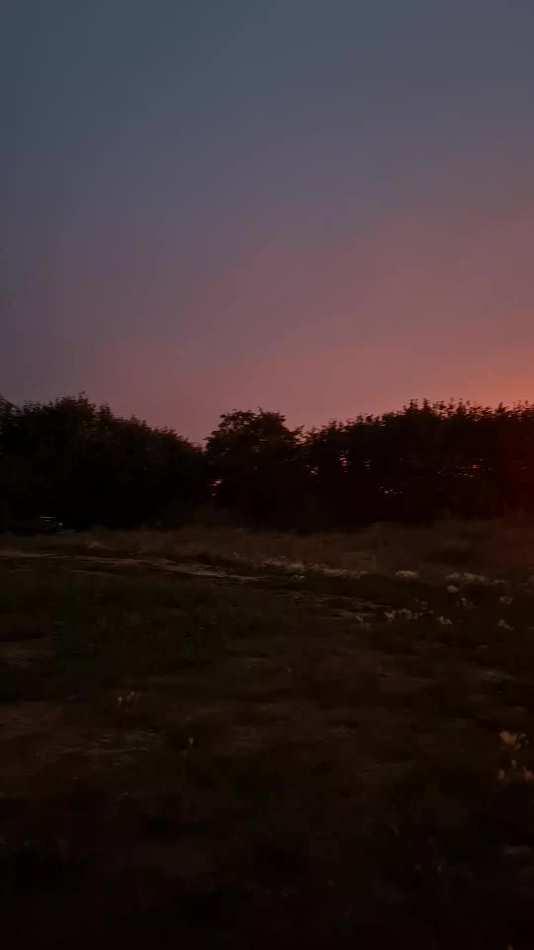 @Анастасия Корчагина