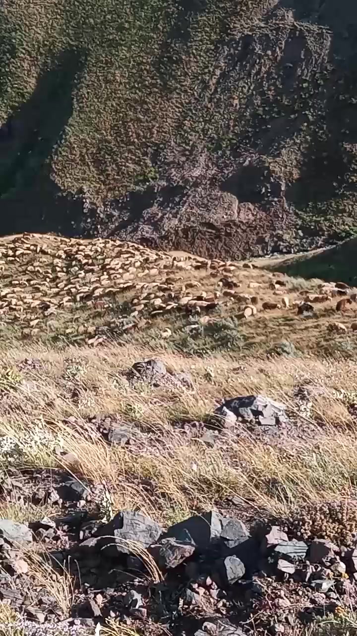@Zahid cehrili