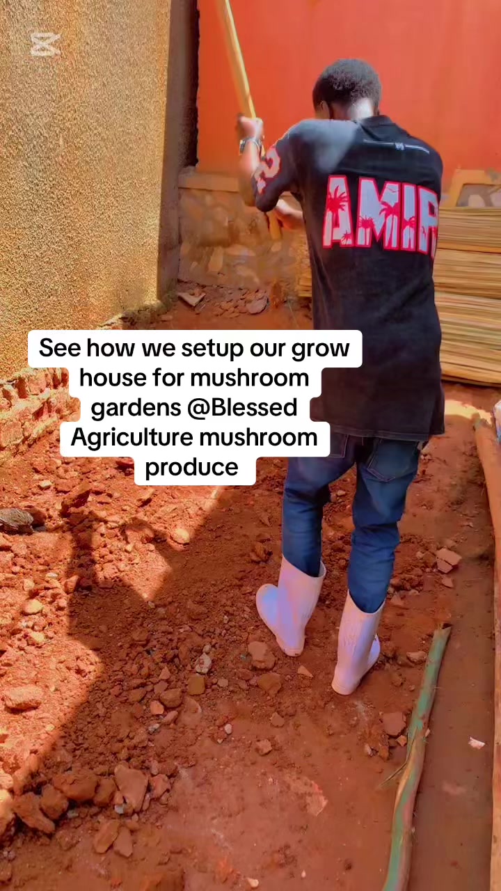@BLESSED AGRICULTURAL MUSHROOM