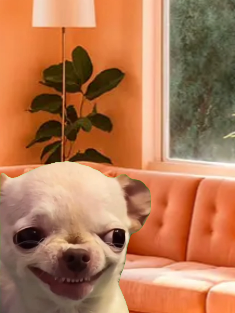 @_lu.g02 ✨️