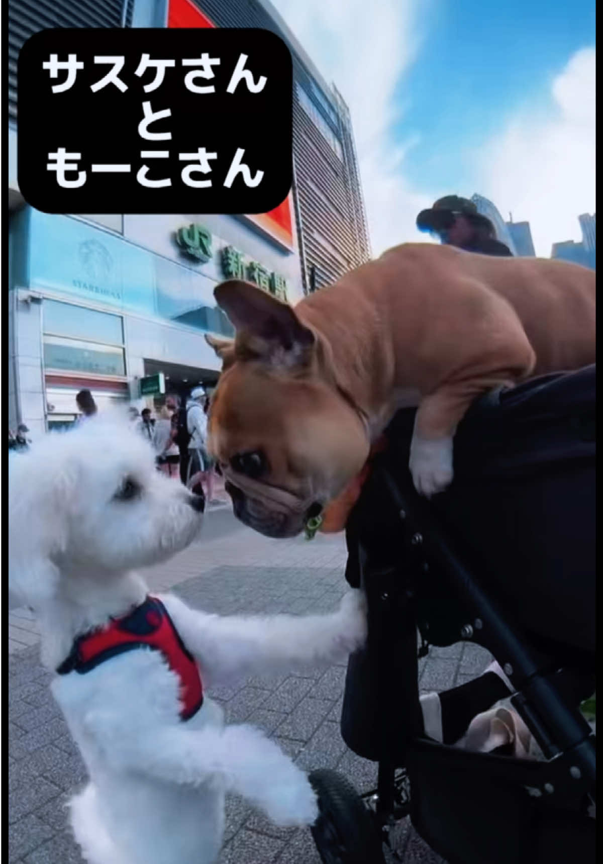 @真希は覚醒中