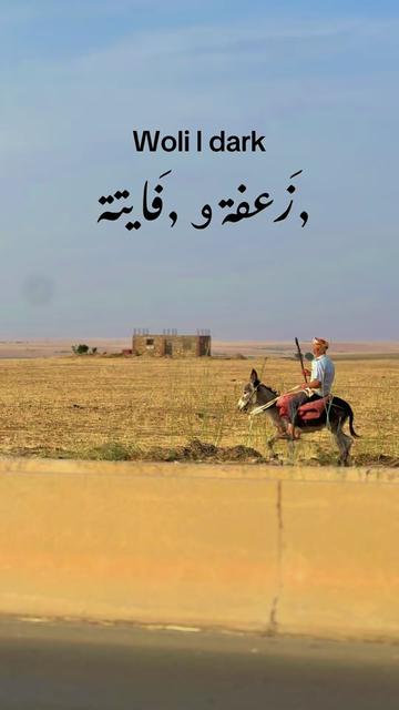 @Mohamed Photography14