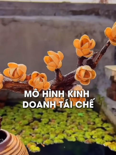 @Hoàng Mạnh Cường Marketing